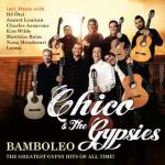 15-05-2014 - MCS_Marketing - Chico + The Gypsies - cover.jpg